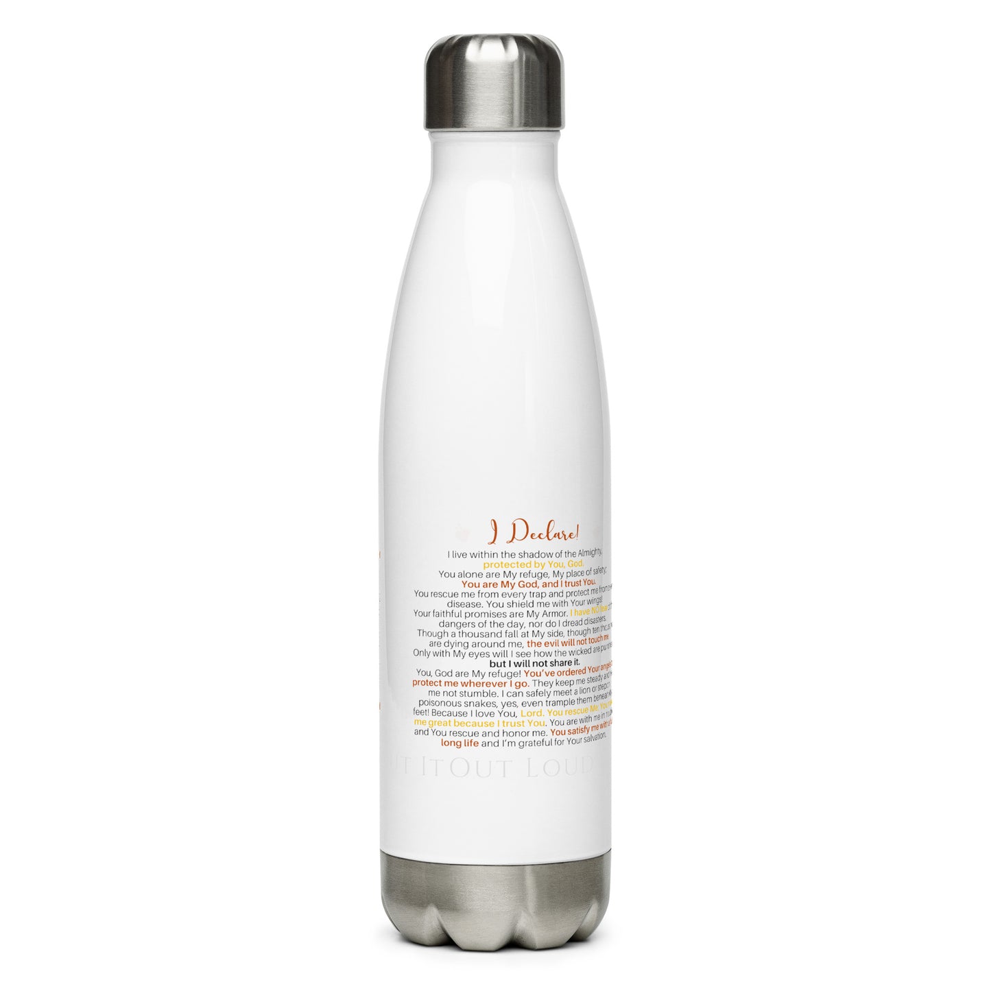 I Am Psalms 91 Equipped!  Stainless steel water bottle